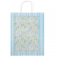 Подарочный пакет "Цветочное настроение", 25,5*33 см (9078-006)