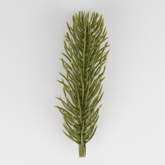Декоративная ветвь "Сосновая веточка", 10 см (9256-023)