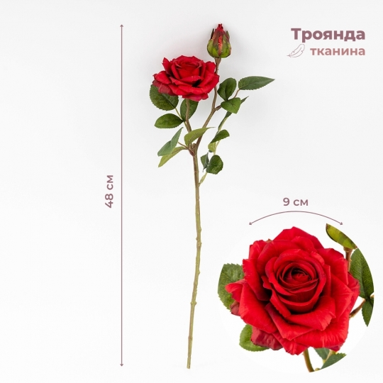 Троянда 