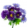 Букет айстри, фіолетовий (8722-005)