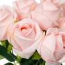 Букет троянд, ніжно-рожевий (8722-009)