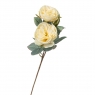 Пионовидная троянда (8721-023)