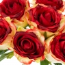 Букет троянд, червоно-жовтий (8722-018)