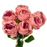 Букет троянд, пудра (8722-023)