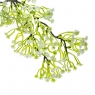 Квітуча гілка, зелена (8723-013)