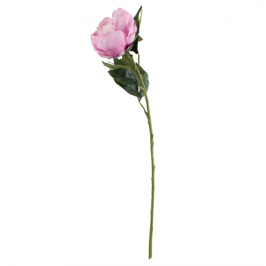 Півонія "Жіночність", рожева, 66 см (6018-140)