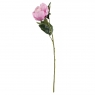 Півонія "Жіночність", рожева, 66 см (6018-140)