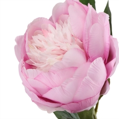 Пион "Женственность", розовый, 66 см (6018-140)