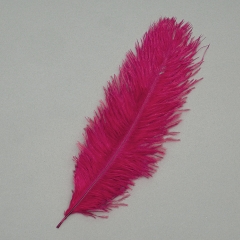 Страусиное перо 25-30 см, бордовый (8501-002/burgundy)