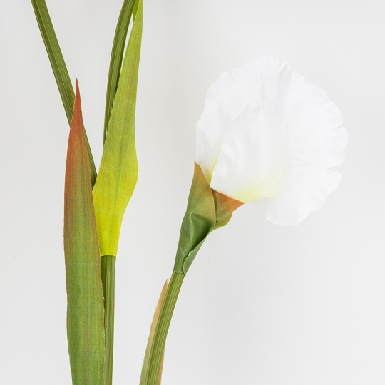 Искусственный ирис, белый, 80 см (2026-030/white)