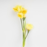 Штучний ірис, жовтий, 80 см (2026-030/yellow)