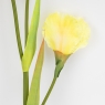Штучний ірис, жовтий, 80 см (2026-030/yellow)