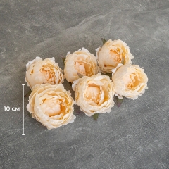 Головка пиона, кремовая, 10 см (9222-059)