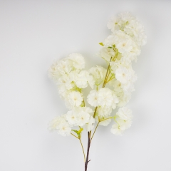 (2026-016/white)