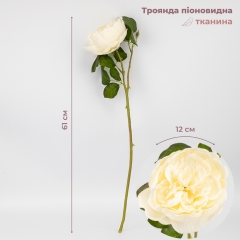 (2026-018/cream)
