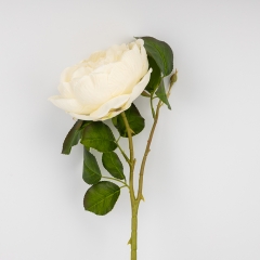 (2026-018/cream)