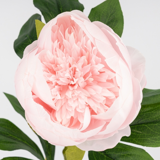 Штучна півонія, ніжно-рожева, 70 см (2026-019/pink) Штучна півонія, ніжно-рожева, 70 см (2026-019/pink)