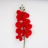 Латексна орхідея, червона, 95 см (2026-021/red)