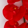 Латексна орхідея, червона, 95 см (2026-021/red)