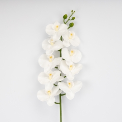 Латексна орхідея, біла, 95 см (2026-021/white)