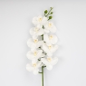 Латексна орхідея, біла, 95 см (2026-021/white)