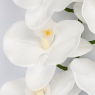 Латексна орхідея, біла, 95 см (2026-021/white)