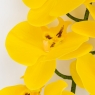 Латексна орхідея, жовта, 95 см (2026-021/yellow)