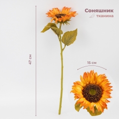 (2026-025/sunset)