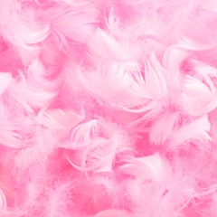 Декоративные перья, рожеве (9094-010)