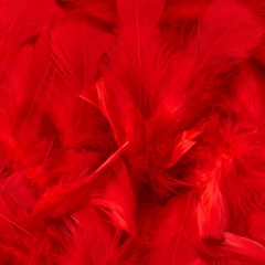 Декоративные перья, черные (9094-011)