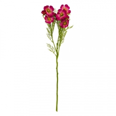 Космея (78 см) (014F/red)