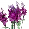 Искусственный букет (31 см) (037FL/violet)