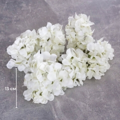 Головка гортензії, біла, 13 см (8504-001/1)