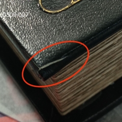 Книга-сейф "Король зверей" (00BR-0509-007/1)