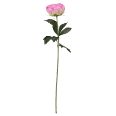 Пион розовый (79 см) (033FS-PL)