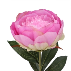 Пион розовый (79 см) (033FS-PL)