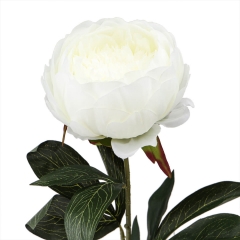 Пион (79 см) (033FS-WT)