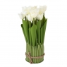 Букет тюльпанів, білі (8931-012)
