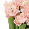Букет тюльпанів, рожеві (8931-013)