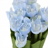 Букет тюльпанів, сині (8931-015)