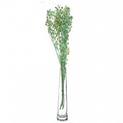 Лунария, бирюза (8430-032)