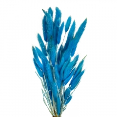 Лагурус (синий, голубой, бирюза) (8430-029)