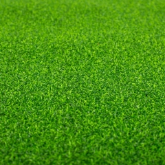 Искусственная трава, 1 м. кв. (9173-009)