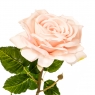 Квітка штучна "Троянда перламутрова" (2000-030PK)