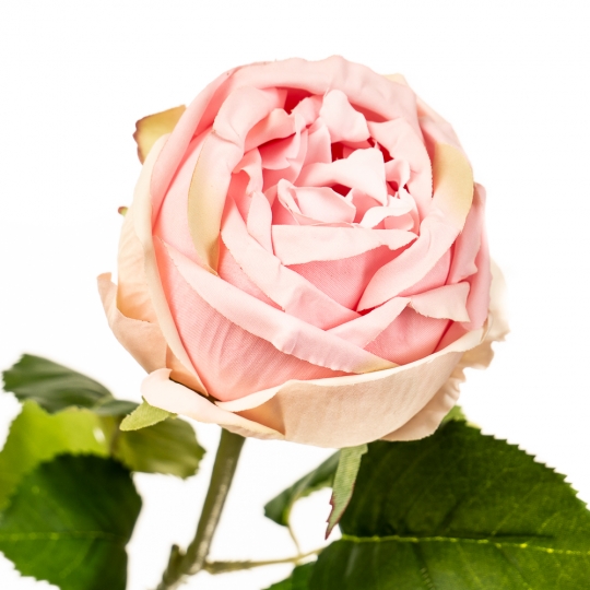 Квітка штучна "Троянда пастельна" (2000-031PK)