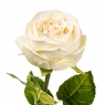 Квітка штучна "Троянда біла" (2000-033WT)