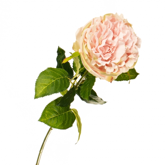 Квітка штучна "Троянда оксамитова ніжно-рожева" (2000-034PK)