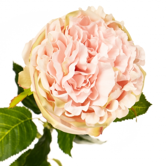 Квітка штучна "Троянда оксамитова ніжно-рожева" (2000-034PK)
