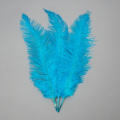 Страусиное перо 55 см голубой (8501-001/blue)