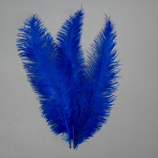 Страусине перо 55 см синьо-фіолетовий (8501-001/blue-violet)